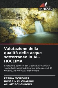 bokomslag Valutazione della qualità delle acque sotterranee in AL-HOCEIMA