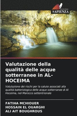 bokomslag Valutazione della qualità delle acque sotterranee in AL-HOCEIMA