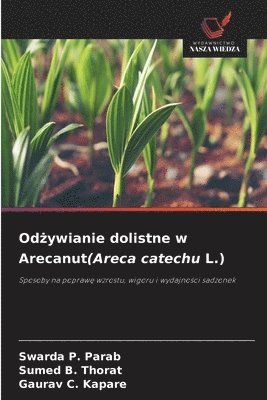 bokomslag Od?ywianie dolistne w Arecanut(Areca catechu L.)