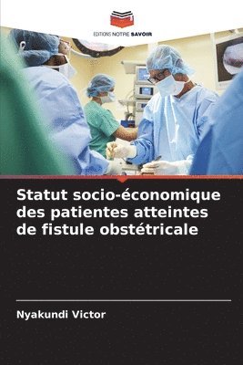 bokomslag Statut socio-économique des patientes atteintes de fistule obstétricale
