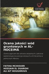 bokomslag Ocena jako?ci wód gruntowych w AL-HOCEIMA