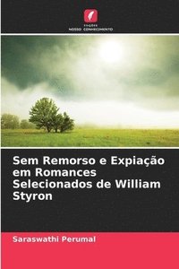 bokomslag Sem Remorso e Expiação em Romances Selecionados de William Styron