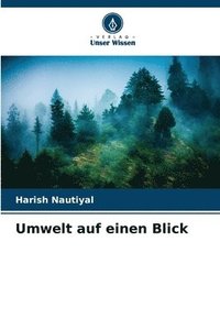 bokomslag Umwelt auf einen Blick