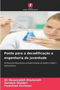 bokomslag Ponte para a decodificação e engenharia da juventude