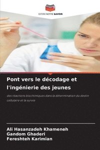 bokomslag Pont vers le décodage et l'ingénierie des jeunes