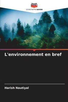 bokomslag L'environnement en bref