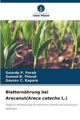 Blatternährung bei Arecanut(Areca catechu L.)