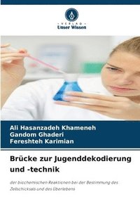bokomslag Brücke zur Jugenddekodierung und -technik
