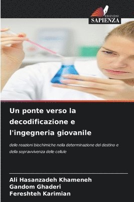 bokomslag Un ponte verso la decodificazione e l'ingegneria giovanile