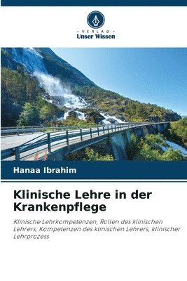 Hanaa Ibrahim - Klinische Lehre in der Krankenpflege, Häftad