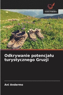 bokomslag Odkrywanie potencjalu turystycznego Gruzji