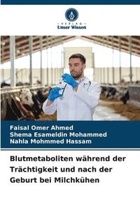 bokomslag Blutmetaboliten während der Trächtigkeit und nach der Geburt bei Milchkühen