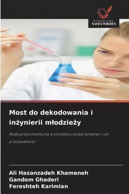 bokomslag Most do dekodowania i in?ynierii mlodzie?y