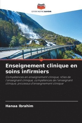 Hanaa Ibrahim - Enseignement clinique en soins infirmiers, Häftad
