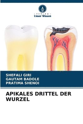 Shefali Giri, Gautam Badole, Pratima Shenoi, SHEFALI GIRI - Apikales Drittel Der Wurzel, Häftad