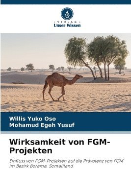 Wirksamkeit von FGM-Projekten