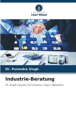 Industrie-Beratung