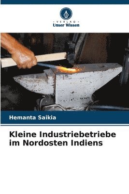 Hemanta Saikia - Kleine Industriebetriebe im Nordosten Indiens, Häftad