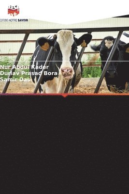 Nur Abdul Kader, Durlav Prasad Bora, Samir Das - Épidémiologie de la leptospirose bovine, Häftad