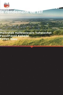 Mehretab Haileselassie Yohalashet, Fassilfassil Kebede, Fetien Abay - Effet des doses de semences et d'engrais phosphatés sur le rendement du tef, Häftad. Tillgänglighet: Lägg i varukorg