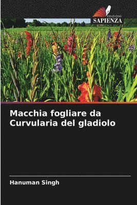 Macchia fogliare da Curvularia del gladiolo