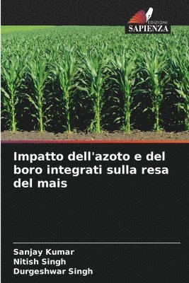 Impatto dell'azoto e del boro integrati sulla resa del mais