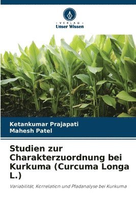 Ketankumar Prajapati, Mahesh Patel - Studien zur Charakterzuordnung bei Kurkuma (Curcuma Longa L.), Häftad