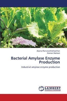 Bacterial Amylase Enzyme Production