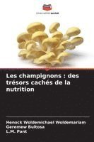 Les champignons