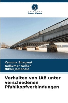 Verhalten von IAB unter verschiedenen Pfahlkopfverbindungen