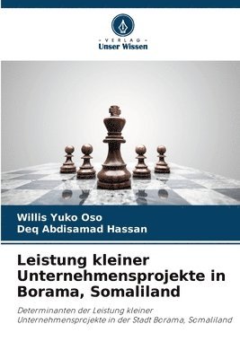 Leistung kleiner Unternehmensprojekte in Borama, Somaliland