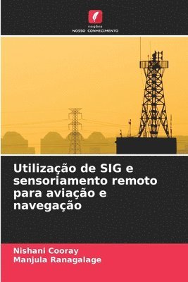 Utilização de SIG e sensoriamento remoto para aviação e navegação