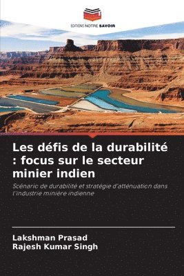 Lakshman Prasad, Rajesh Kumar Singh - Les défis de la durabilité, Häftad