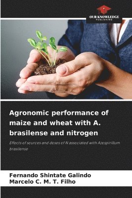 Agronomic performance of maize and wheat with A. brasilense and nitrogen