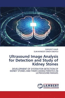 Ultrasound Image Analysis for Detection and Study of Kidney Stones