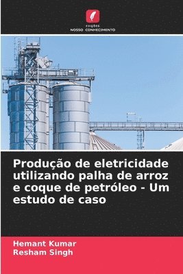 Produção de eletricidade utilizando palha de arroz e coque de petróleo - Um estudo de caso