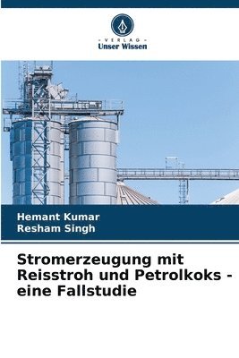 Stromerzeugung mit Reisstroh und Petrolkoks - eine Fallstudie