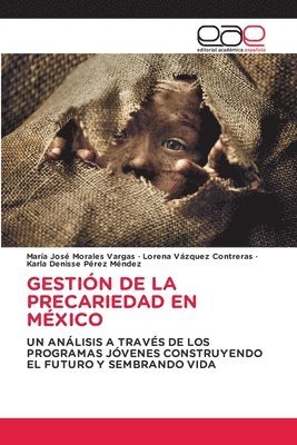 Gestión de la Precariedad En México
