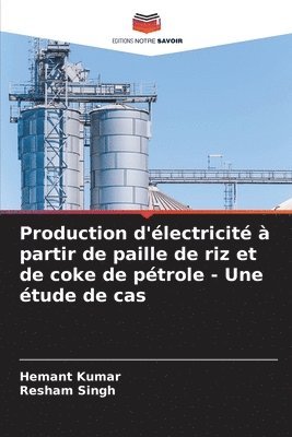 Hemant Kumar, Resham Singh - Production d'électricité à partir de paille de riz et de coke de pétrole - Une étude de cas, Häftad