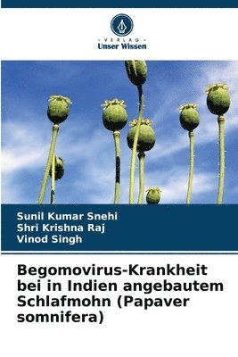 Begomovirus-Krankheit bei in Indien angebautem Schlafmohn (Papaver somnifera)