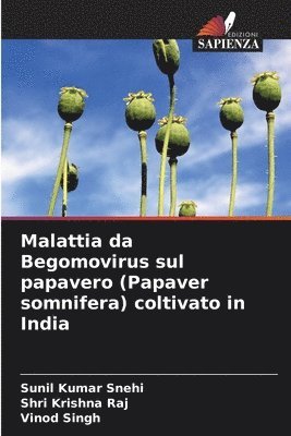 Malattia da Begomovirus sul papavero (Papaver somnifera) coltivato in India
