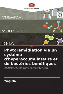 Ying Ma - Phytoremédiation via un système d'hyperaccumulateurs et de bactéries bénéfiques, Häftad