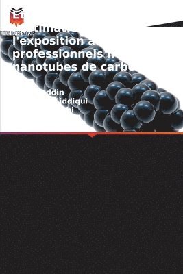 Akbar Ziauddin, Nihal Anwar Siddiqui, Sk Khasim Beebi - Étude sur l'évaluation et l'estimation de l'exposition aux risques professionnels liés aux nanotubes de carbone, Häftad