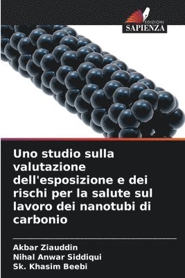 Akbar Ziauddin, Nihal Anwar Siddiqui, Sk Khasim Beebi - Uno studio sulla valutazione dell'esposizione e dei rischi per la salute sul lavoro dei nanotubi di carbonio, Häftad
