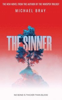 bokomslag The Sinner