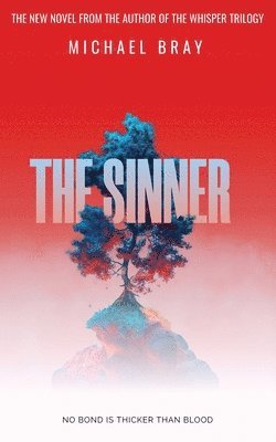 bokomslag The Sinner