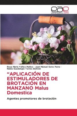 Rosa María Yáñez Muñoz, Juan Manuel Soto Parra, Nubia Guadalupe Torres Beltrán - "APLICACIÓN DE ESTIMULADORES DE BROTACIÓN EN MANZANO Malus Domestica, Häftad