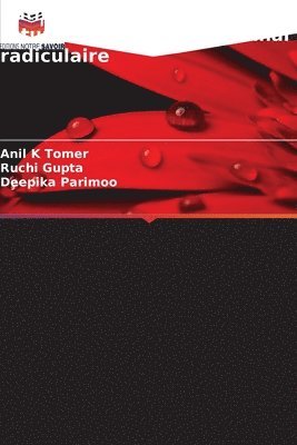 Pathogenèse et approche futuriste de la flore du canal radiculaire