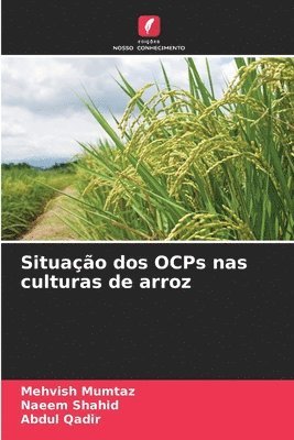 Situação dos OCPs nas culturas de arroz