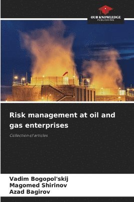 Risk management at oil and gas enterprises